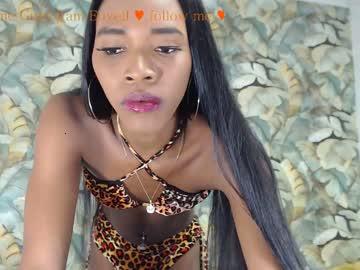 blackcockxts chaturbate