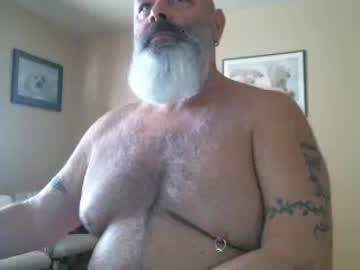 gobeartx chaturbate