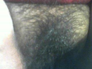 lovehairypusy bongacams