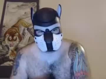 navypup08 chaturbate