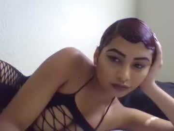 tmoney9142 chaturbate